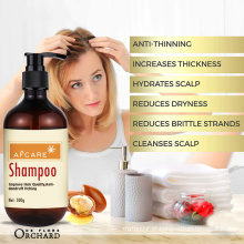 Conjunto de shampoo e condicionador de óleo de Argan de marca própria puro marroquino orgânico para crescimento do cabelo